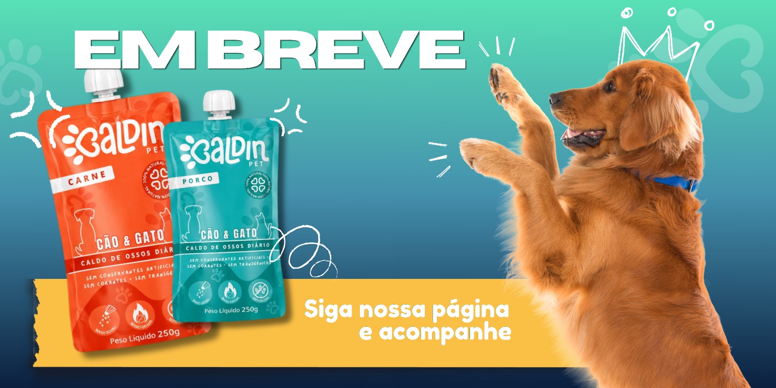 CaldinPet® - Para cães e gatos. Está chegando!